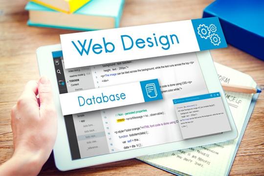 Gói SEO Ít Từ Khóa – Bắt Đầu Nhỏ, Hiệu Quả Lớn